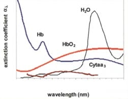 Absorption spectra