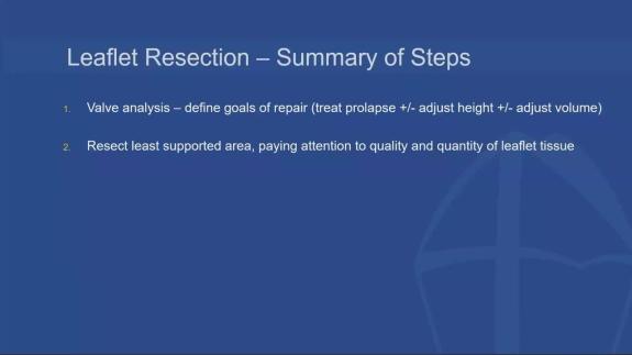 Screen capture of the video Anelechi Anyanwu: Leaflet Resection
