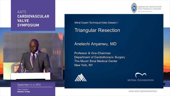 Screen capture of the video 2014 AATS CVS: Triangular Resection