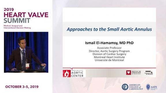 Screen capture of the video 2019 Heart Valve Summit- Approaches to the Small Aortic Annulus