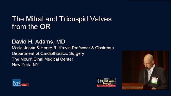 Screen capture of the video 2009 Heart Valve Summit: The Mitral and Tricuspid Valves from the OR
