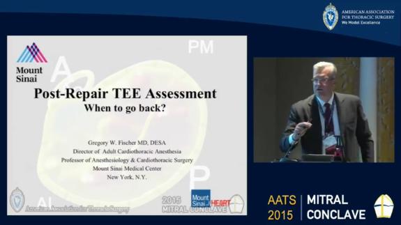 Screen capture of the video Gregory Fischer: Post-repair TEE Assessment